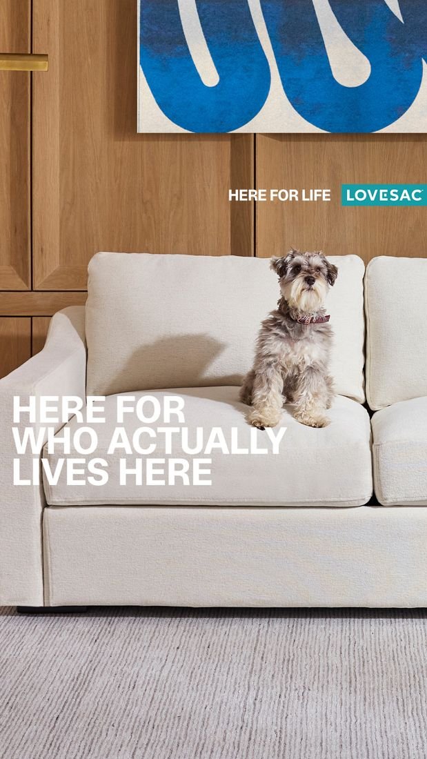 Lovesac static Meta ad: Pet-proof performance positioning