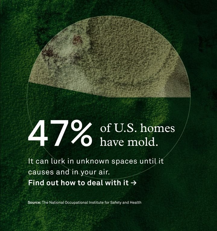 Molekule static Meta ad: Stat-led mold fear